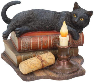 进口 Lisa Parker的魔法心灵 Witching Hour黑猫魔法像