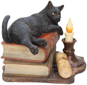 进口 Lisa Parker的魔法心灵 Witching Hour黑猫魔法像