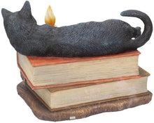 將圖片載入圖庫檢視器 进口 Lisa Parker的魔法心灵 Witching Hour黑猫魔法像
